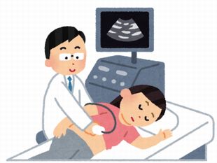 超音波　エコー検査
