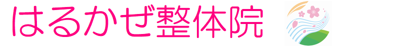鹿児島市　はるかぜ整体院